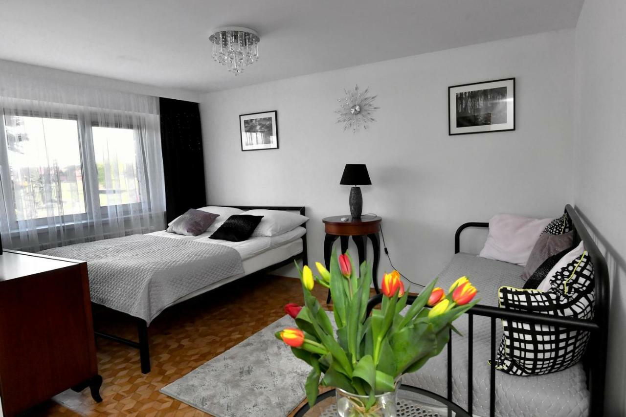 Apartament Spytkowice - Energylandia Krakow Oswiecim Wadowice المظهر الخارجي الصورة